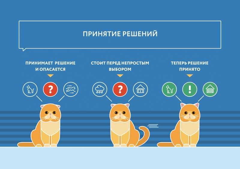 Как понять что хочет кошка?