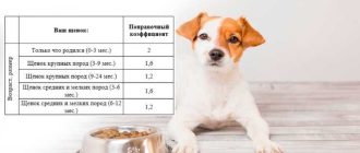 Как посчитать сколько нужно корма для собаки в день в граммах?