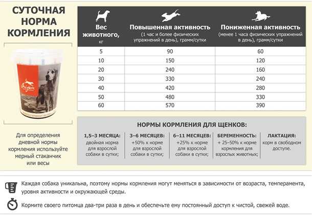 Как правильно кормить собаку сухим кормом сколько раз?