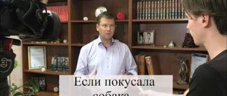 Как привлечь к ответственности хозяина собаки, укусившей человека: советы и рекомендации