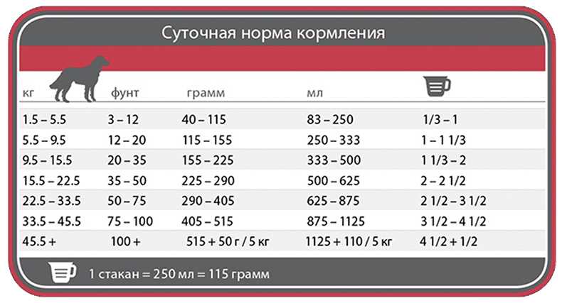 Как определить полную потребность в пище для собаки?