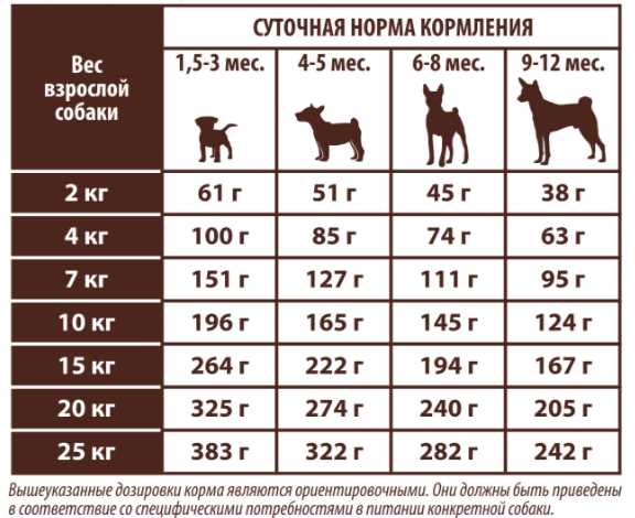 Общие рекомендации по кормлению собак