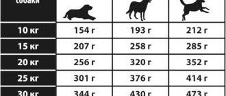 Как рассчитать норму кормления по весу собаки натуралкой?