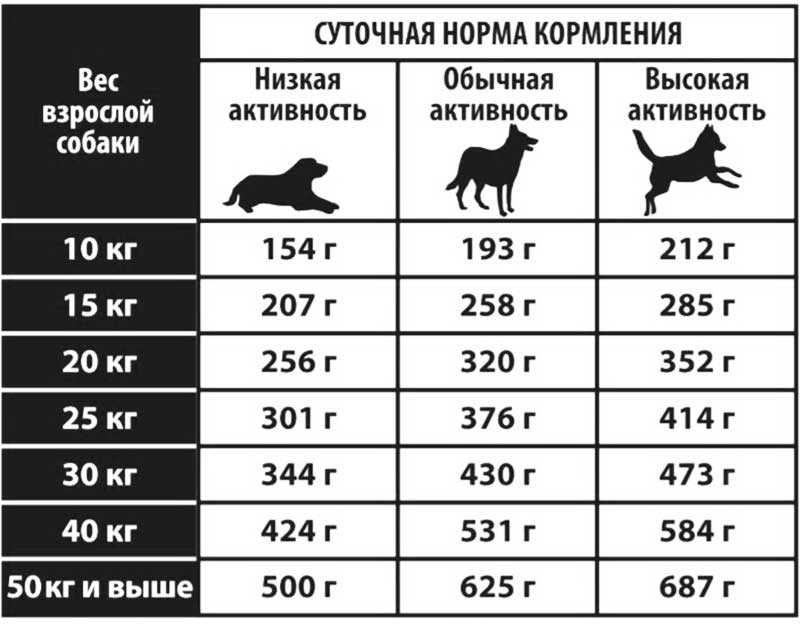 Как рассчитать норму кормления по весу собаки натуралкой?