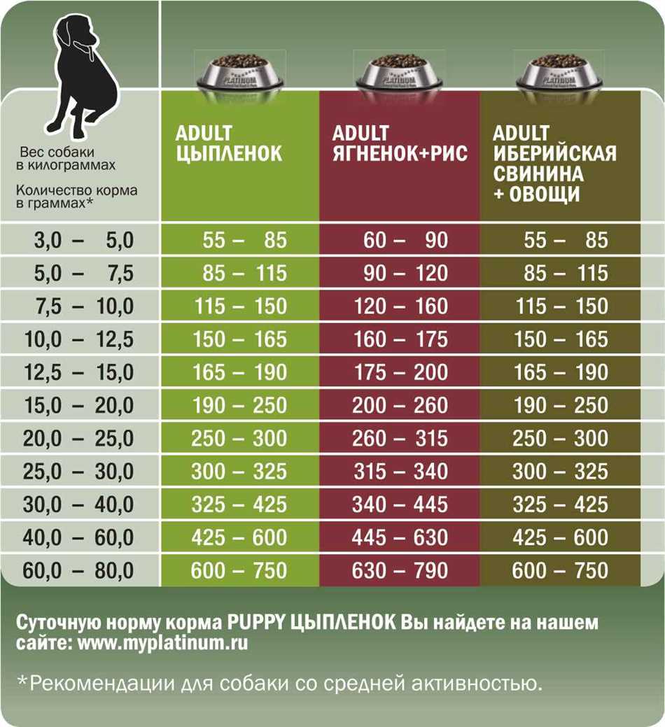 Как рассчитать порцию корма для собаки таксы?