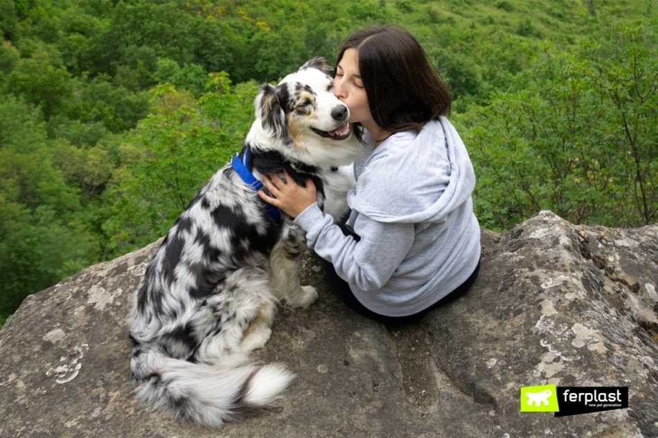 Что означает поцелуй для собаки?