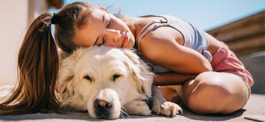 Как собаки проявляют любовь к своему хозяину?