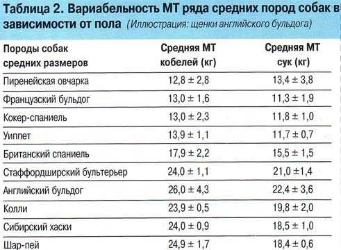 Формула расчета веса собаки на основе щенка