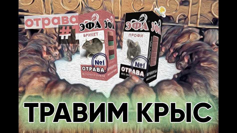 Какая отрава для крыс самая эффективная?