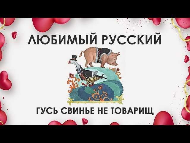 Какая там пословица гусь свинье не товарищ?