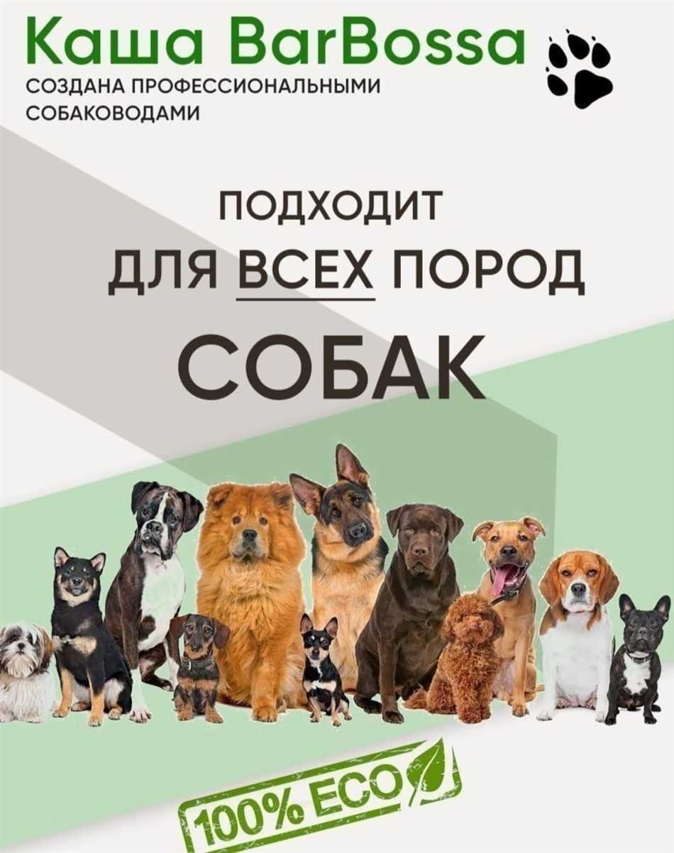 Польза каш для собак