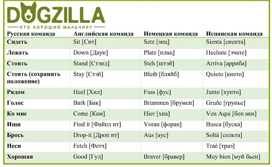 Какие команды на немецком языке для немецкой собаки?
