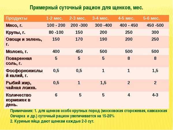 Подготовка овощей для щенка