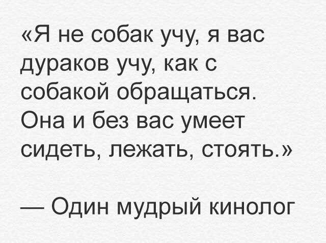 Какие плюсы идти на кинолога?