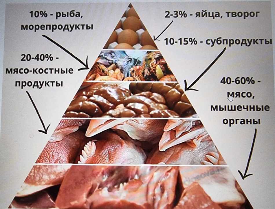 Какие субпродукты являются безопасными для кошек?