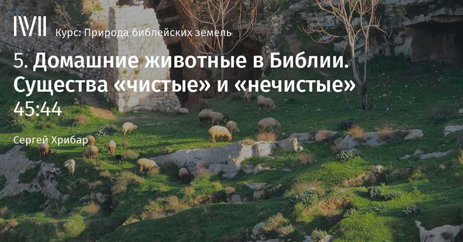 Чистые животные по Библии