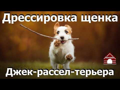 Шаг 2: Обучение на коротком расстоянии