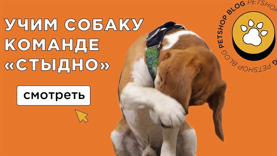 Процесс обучения