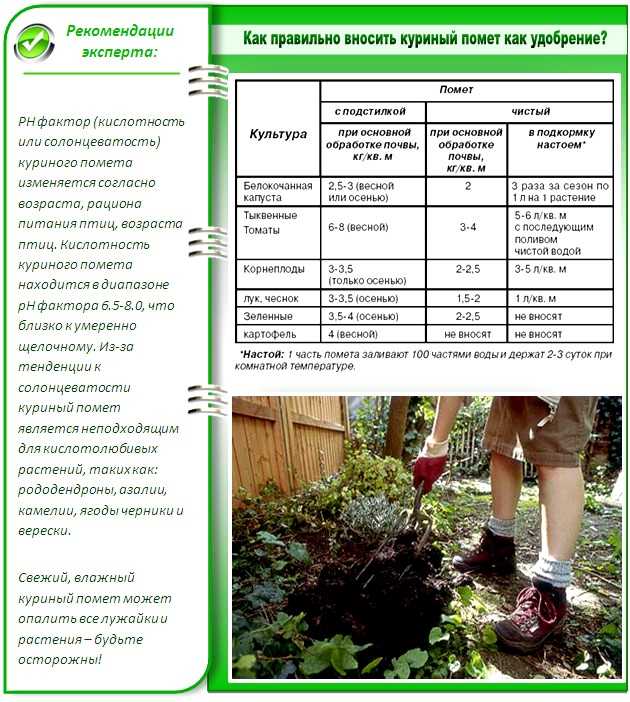 Какой помет лучше для удобрения?