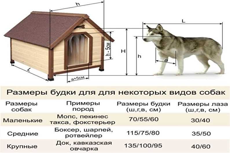 4. Погода и климат