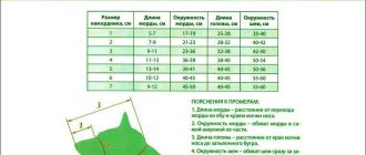 Какой размер намордника у немецкой овчарки?