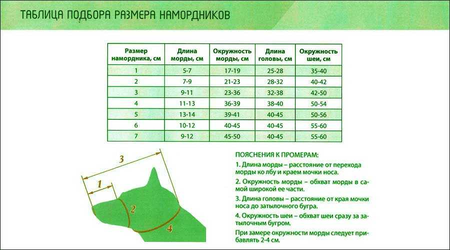 Какой размер намордника у немецкой овчарки?