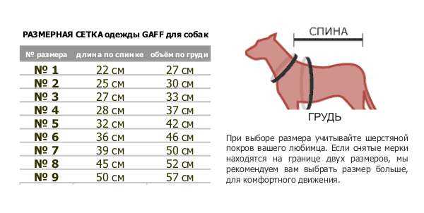 3. Рост