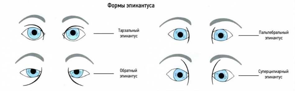 Культурные персональные предпочтения и разрез глаз