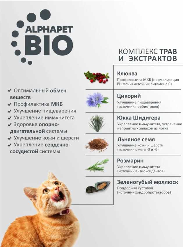 Какой рН кожи у кошек?