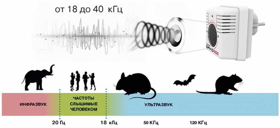 Как выбрать подходящий ультразвуковой отпугиватель для мышей?