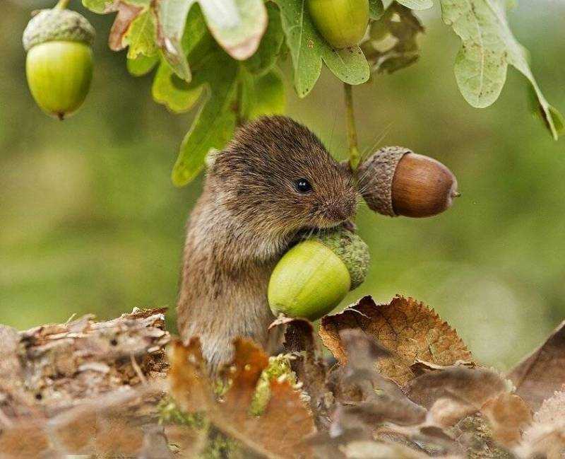 Приспособления и внешний вид