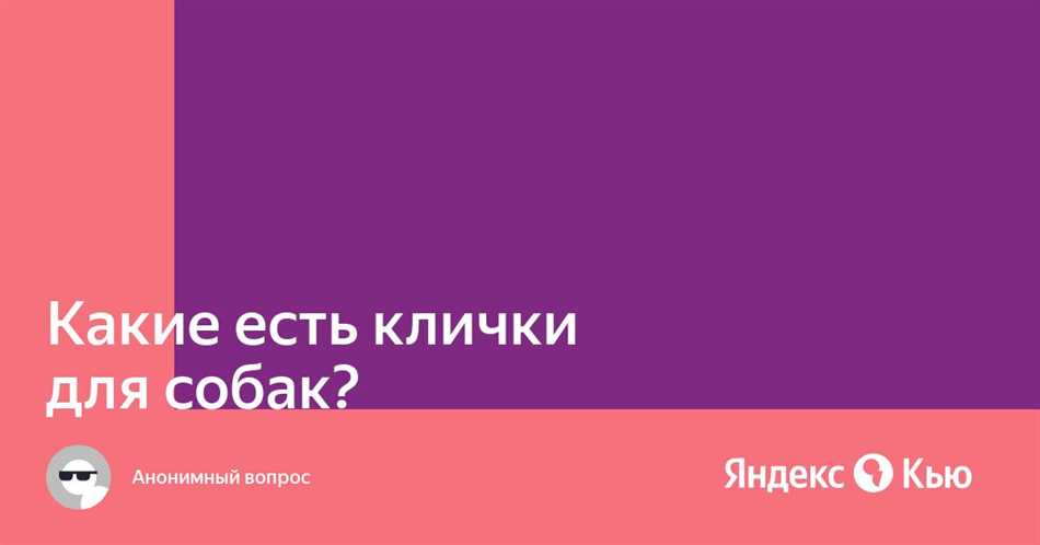 Факторы, которые нужно учесть при выборе клички для ягдтерьера