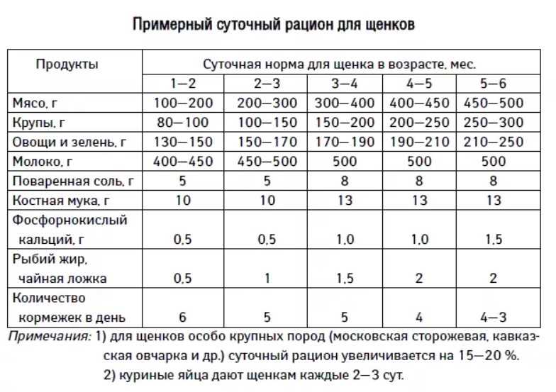 Какую рыбу можно давать собаке таксе?