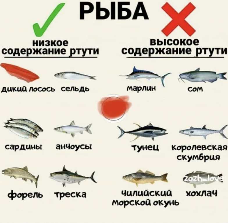 Какую рыбу можно хаски?