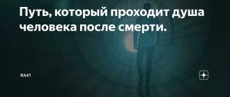 Миграция душ: когда умирает человек, его душа моментально находит новое тело?