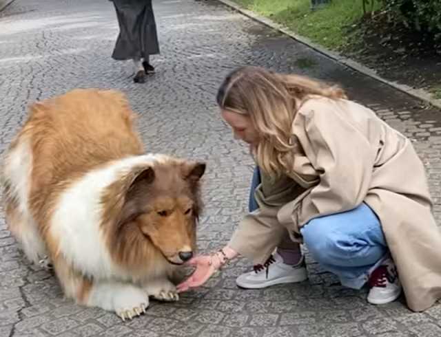 Кто такой человек собака в Японии?