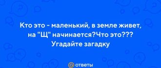 Кто живет в земле на щ начинается?