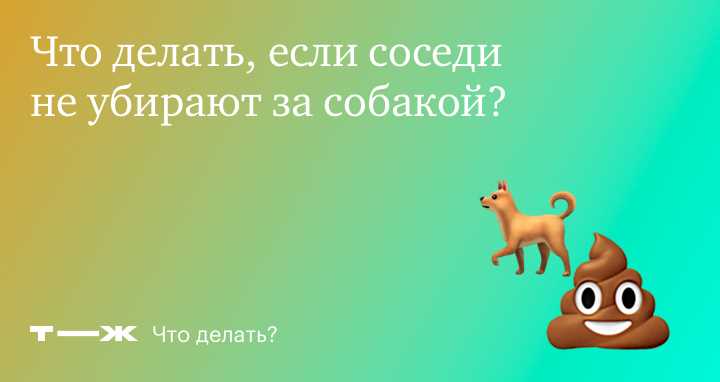 Куда нельзя заходить с собакой по закону РФ?