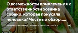 Куда обратиться, если вас покусала собака с владельцем?