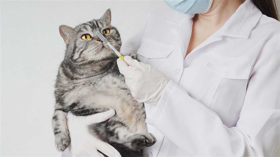 Может ли быть аллергия на одну кошку а на другую нет?