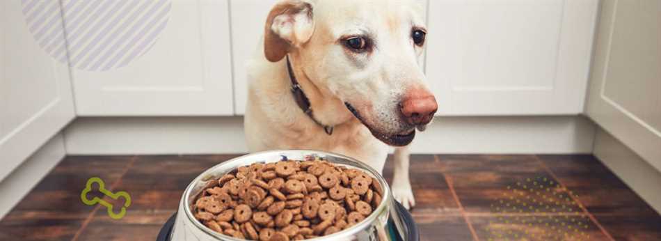 Может ли быть аллергия на собачий корм?
