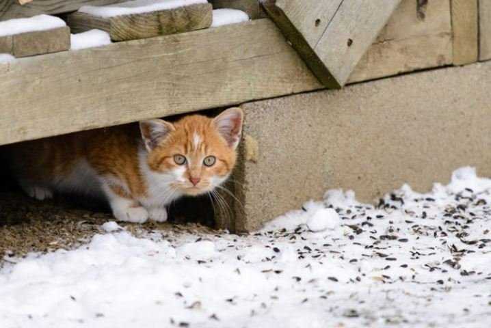 Физиологические аспекты