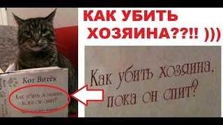 Может ли кот убить хозяина?