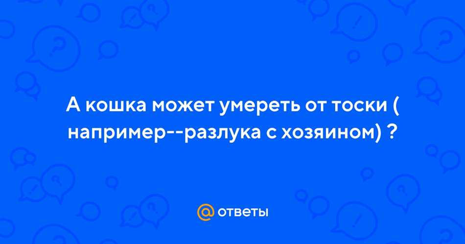 3. Создайте комфортное окружение