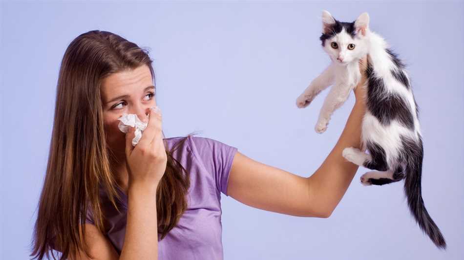 Симптомы аллергии на кошек