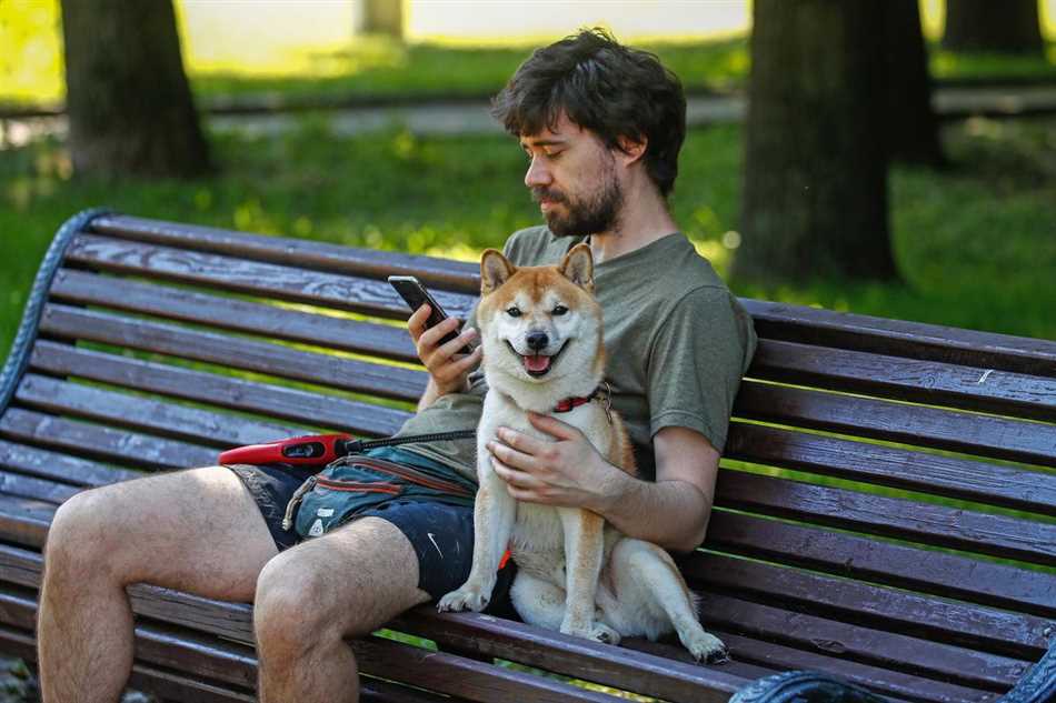 Может ли собака умереть от температуры?