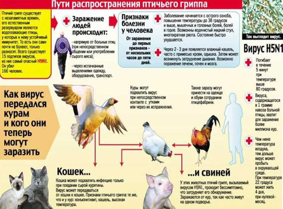 4. Вакцинация.