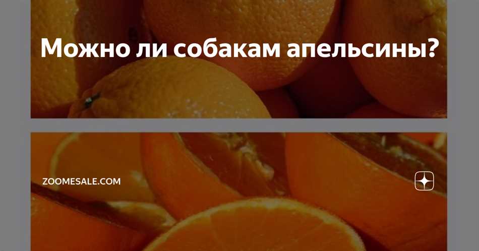 Можно ли апельсин собаки?