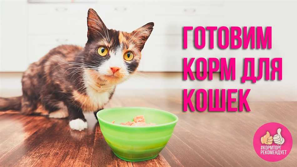 Можно ли давать коту свежие куриные яйца?