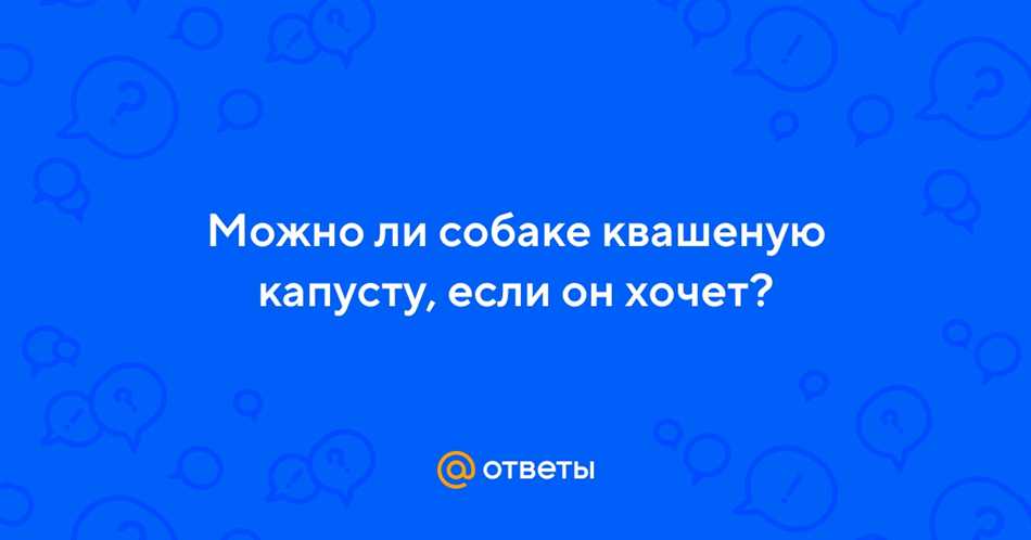 Потенциальные проблемы и риски при кормлении собаки квашеной капустой